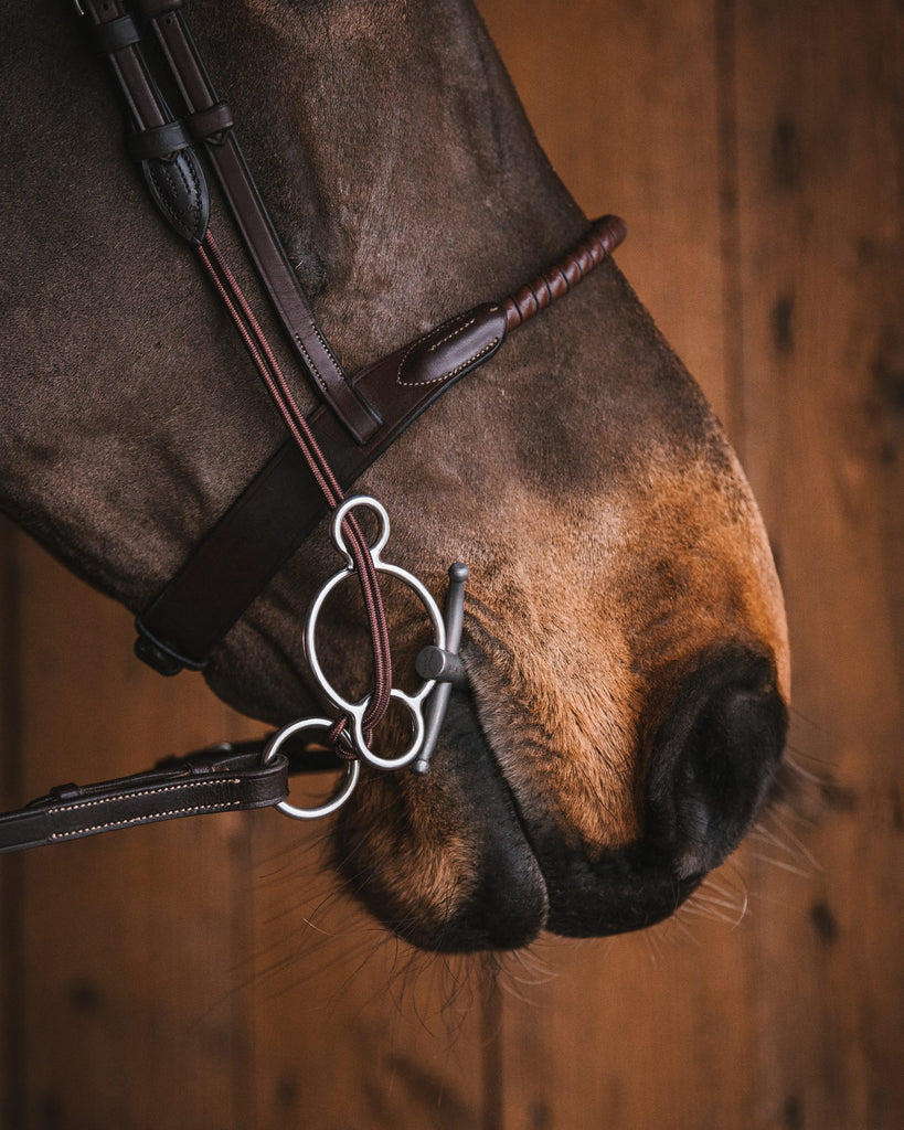 Fager Loose Gag Cheeks Straps with Neckpiece
